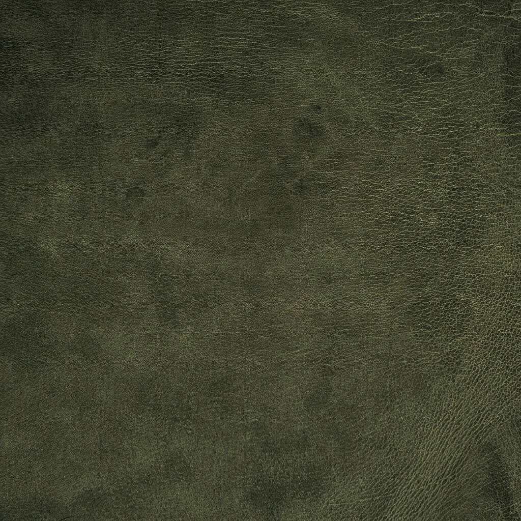 Leathercollection PREMIUM SHADED, SHADED  EVERETT GREEN